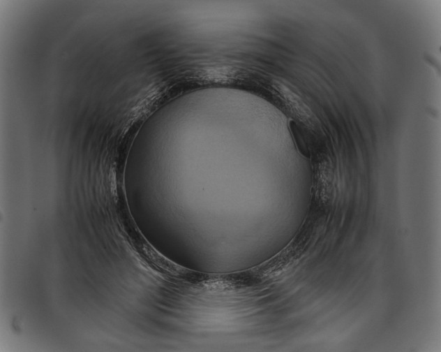 X0000097880500200803281227