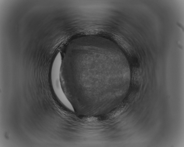 X0000097880501200803281227