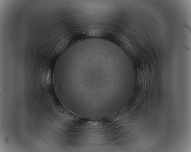 X0000097880502200803281227