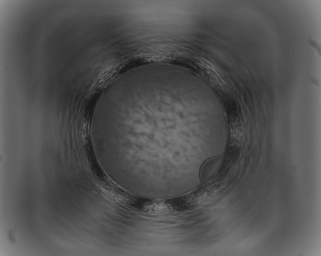 X0000097880503200803281227