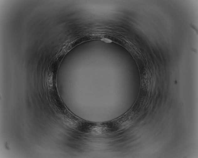 X0000097880504200803281227