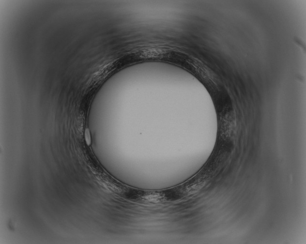 X0000097880505200803281227