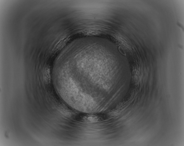 X0000097880506200803281227