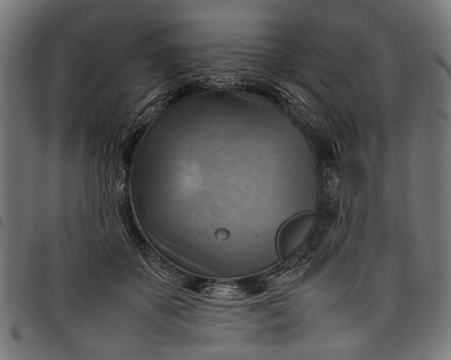 X0000097880507200803281227