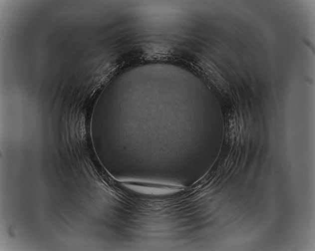 X0000097880508200803281226