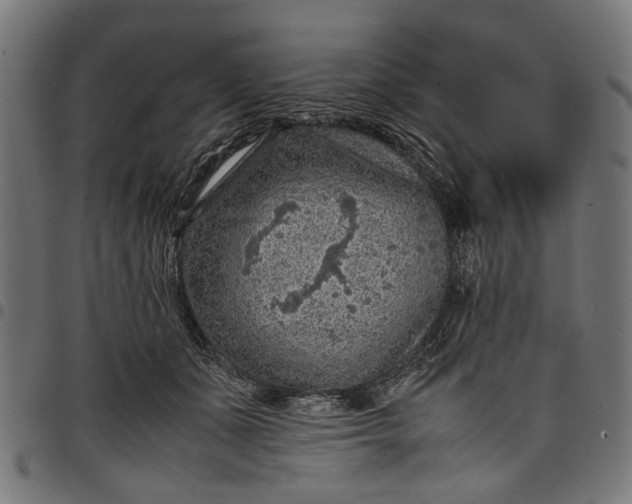 X0000097880511200803281226