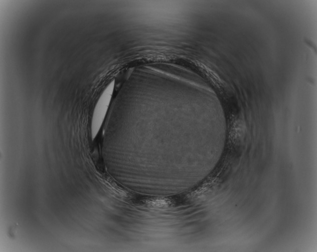 X0000097880513200803281226