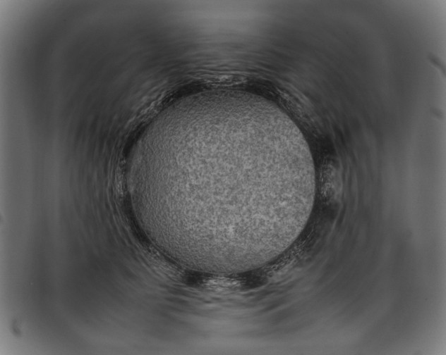 X0000097880515200803281226