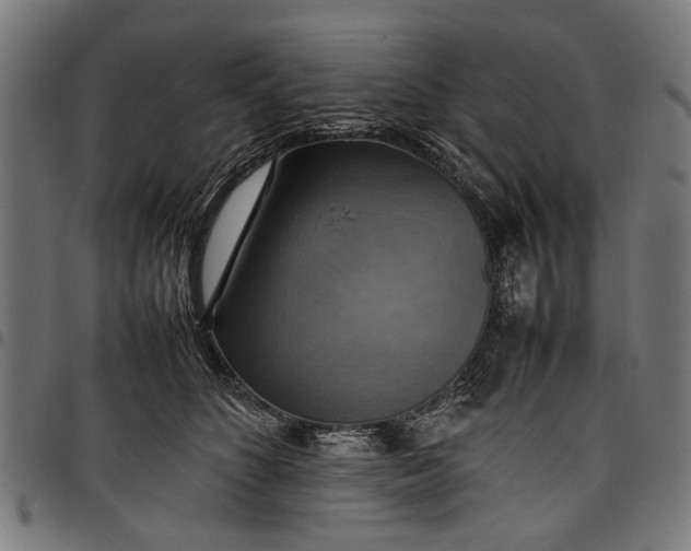 X0000097880516200803281226