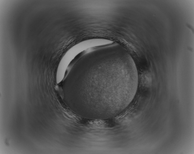 X0000097880517200803281226