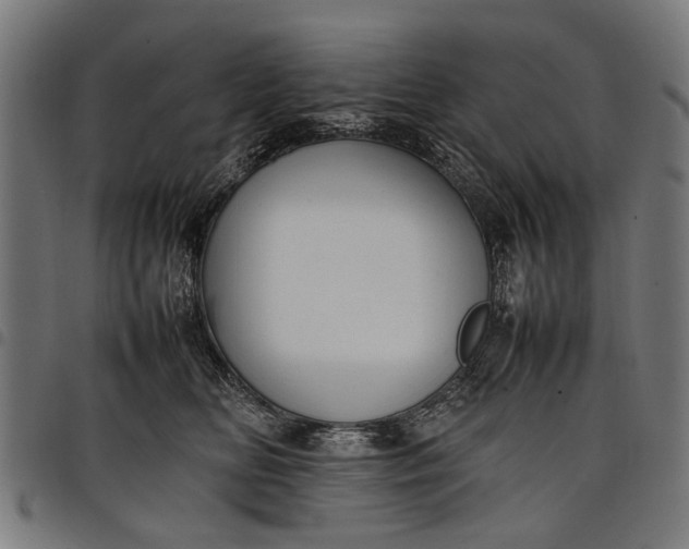 X0000097880518200803281226