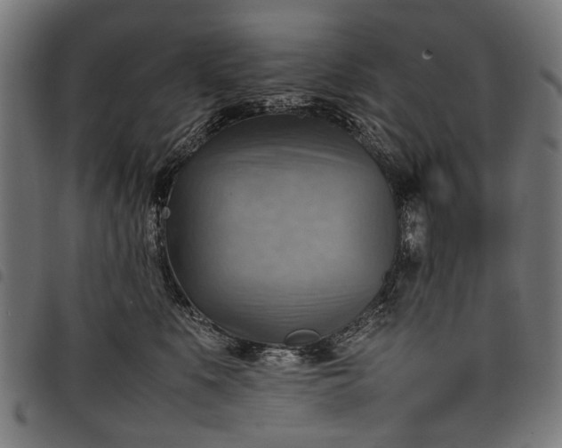 X0000097880519200803281226