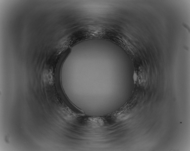 X0000097880520200803281226