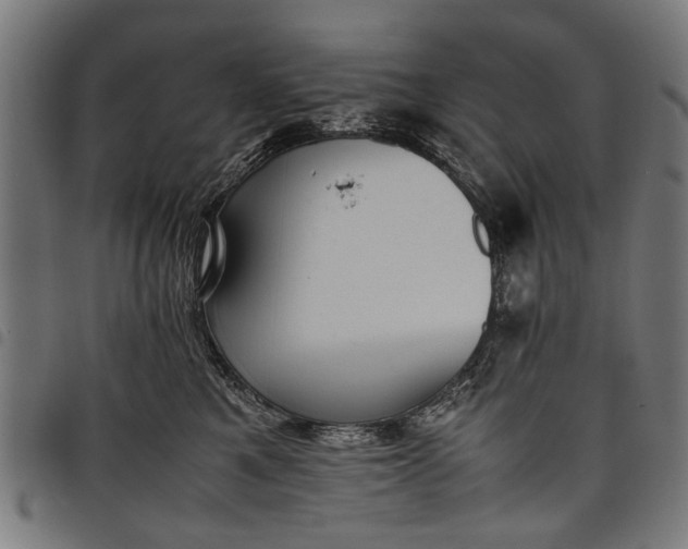 X0000097880521200803281226