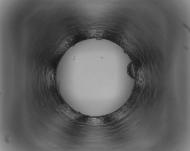 X0000097880522200803281226