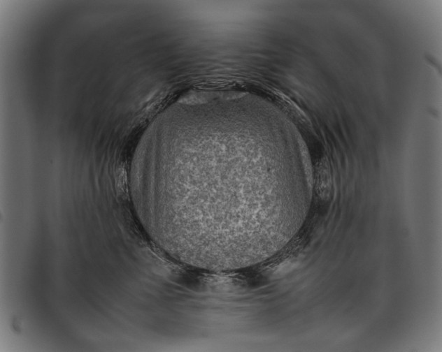 X0000097880523200803281226