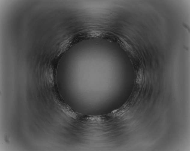 X0000097880524200803281226