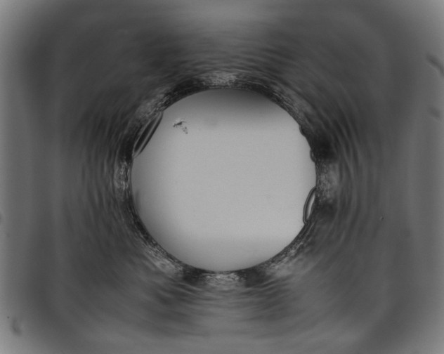 X0000097880525200803281226