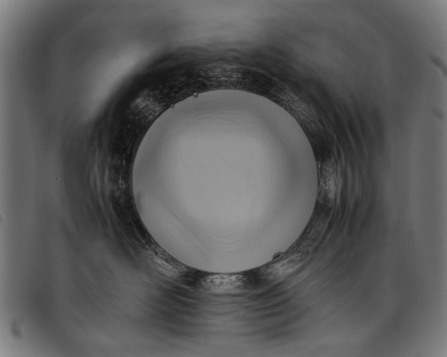 X0000097880526200803281226