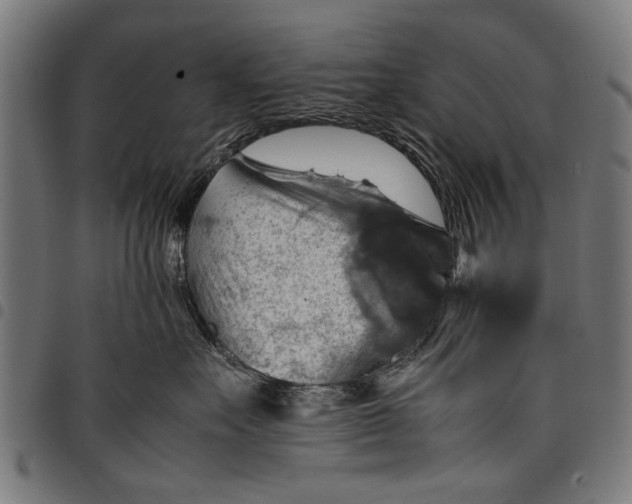 X0000097880527200803281226