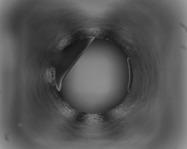 X0000097880528200803281226