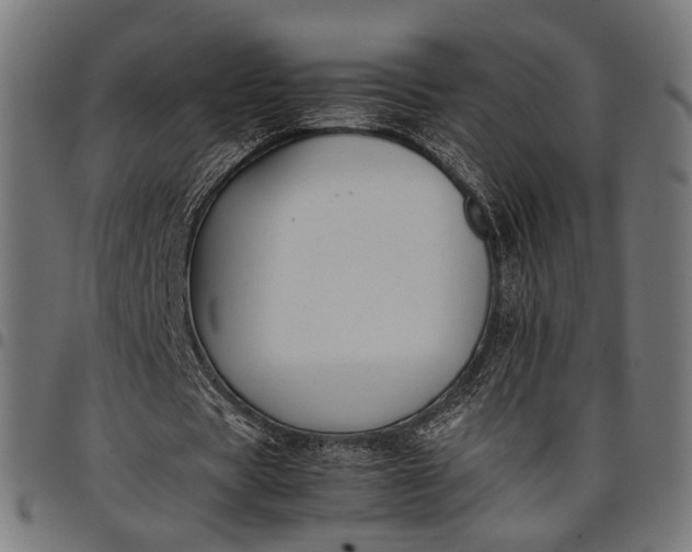 X0000097880529200803281225