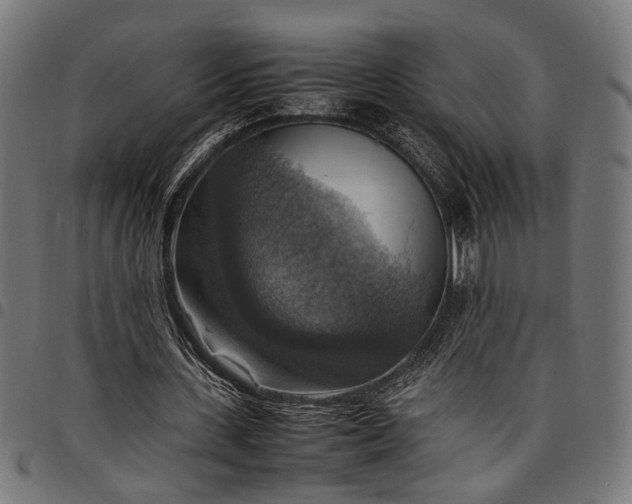 X0000097880531200803281225