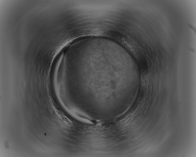 X0000097880532200803281225