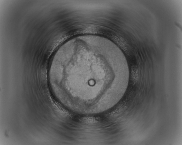 X0000097880534200803281225