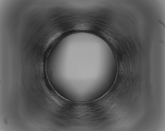 X0000097880535200803281225