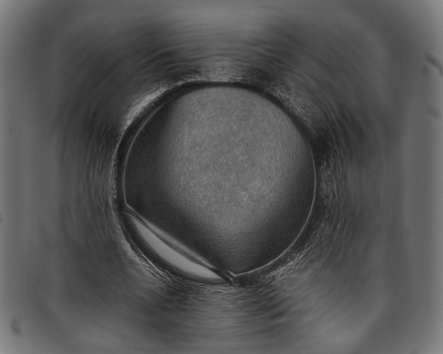 X0000097880536200803281225