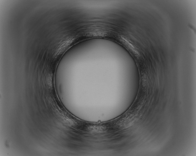 X0000097880537200803281225