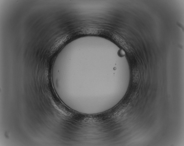 X0000097880538200803281226