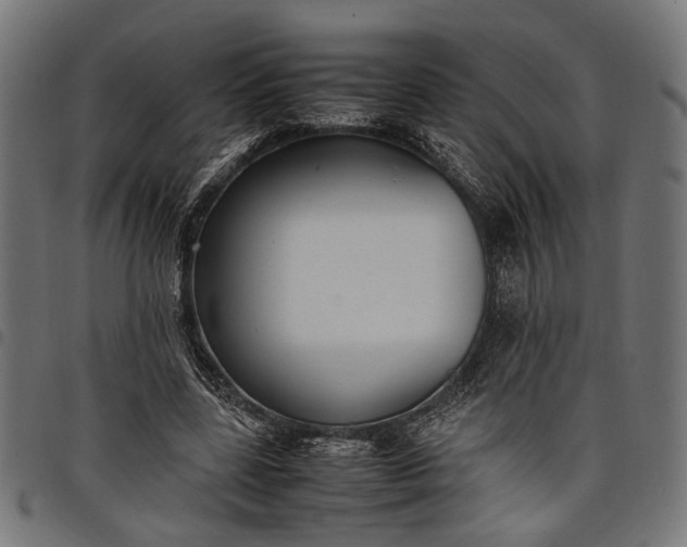 X0000097880539200803281226