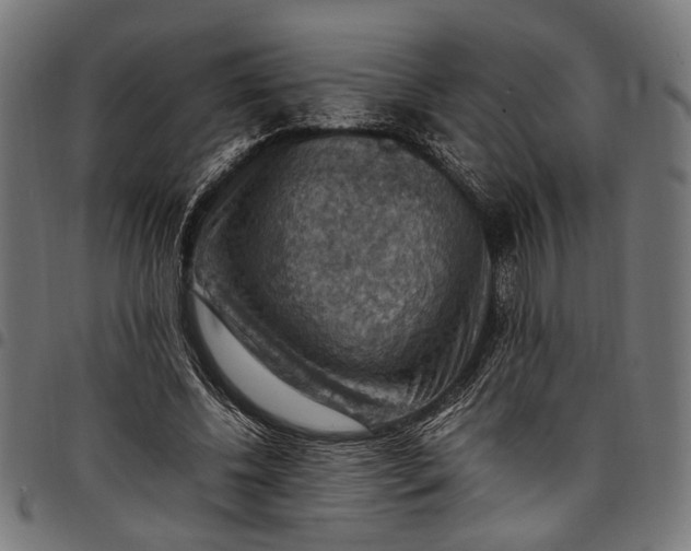 X0000097880540200803281226