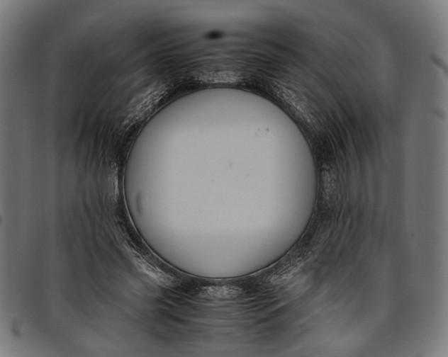 X0000097880541200803281226