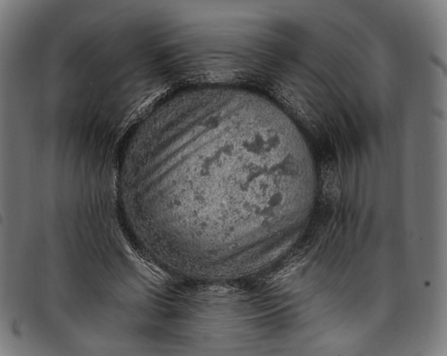 X0000097880542200803281226