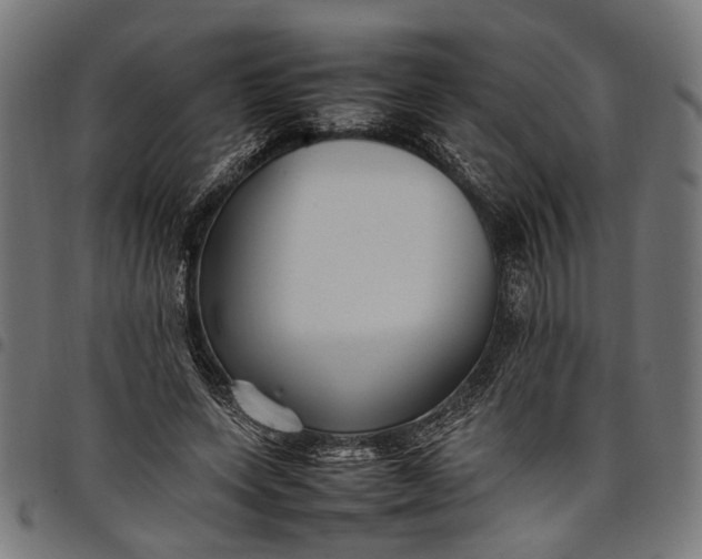 X0000097880543200803281226