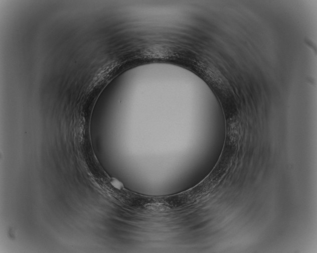 X0000097880544200803281226