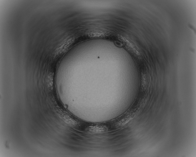 X0000097880545200803281226