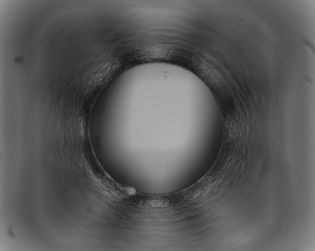 X0000097880546200803281226