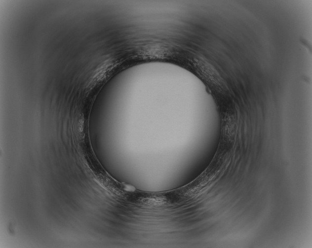 X0000097880548200803281226