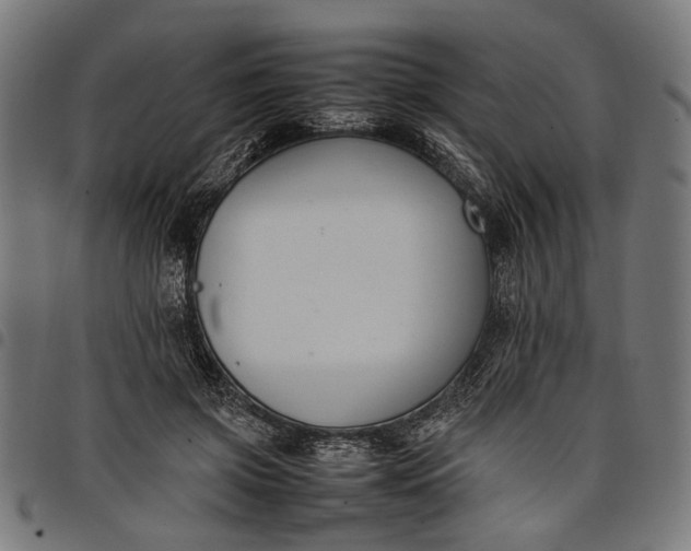 X0000097880549200803281226