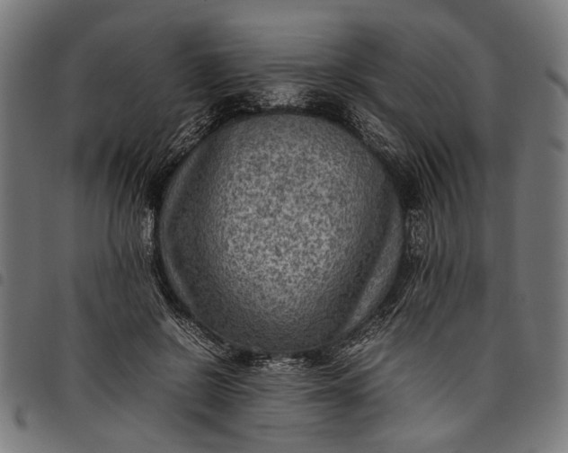 X0000097880550200803281226