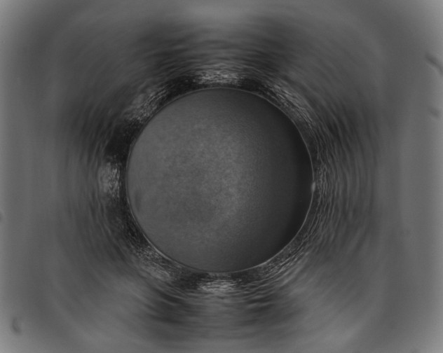 X0000097880551200803281226