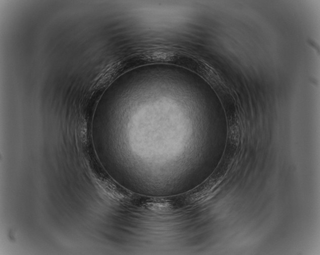 X0000097880552200803281226