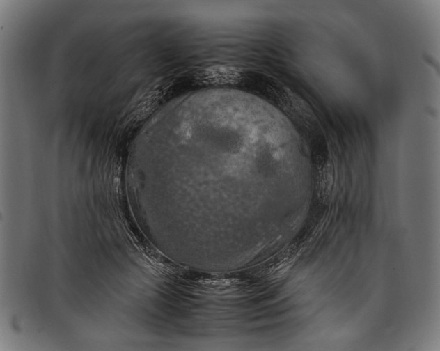 X0000097880553200803281226