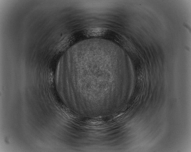 X0000097880555200803281226