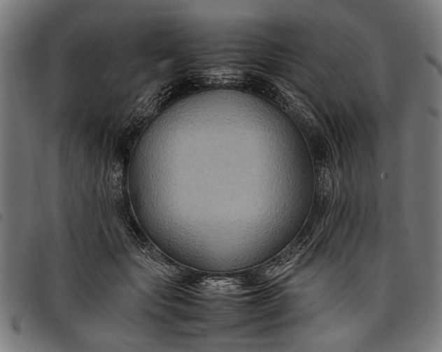 X0000097880557200803281226