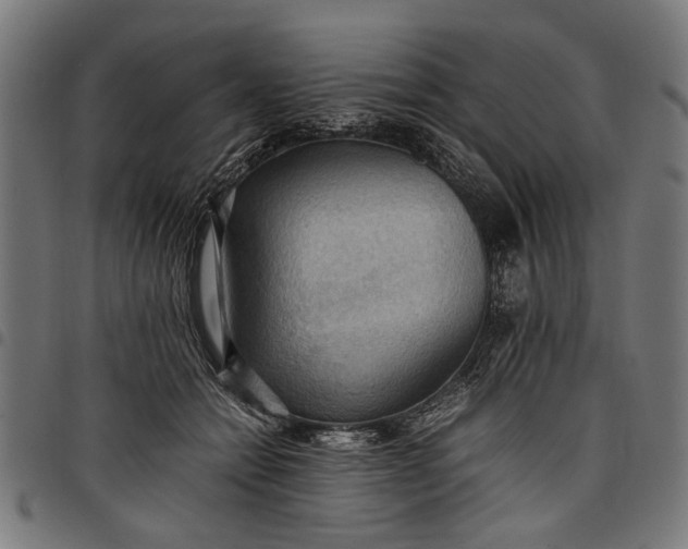 X0000097880558200803281226